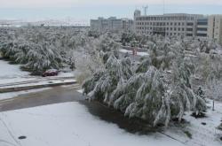 赤峰晨練體育場電話號碼查詢