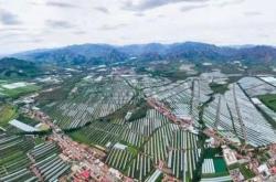 赤峰旗縣采摘果園地址電話號(hào)碼