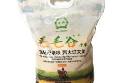 赤峰林東街邊小狗店電話號(hào)碼