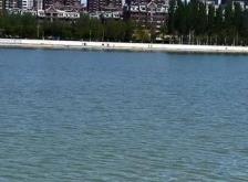 赤峰新城區(qū)優(yōu)樂托管電話號碼