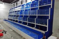 赤峰海鮮缸制作廠家電話號(hào)碼