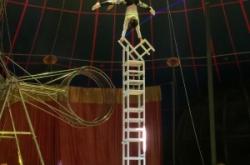 赤峰馬戲團(tuán)直播電話多少號(hào)