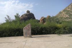 赤峰市區(qū)內(nèi)桃子采摘點電話號碼