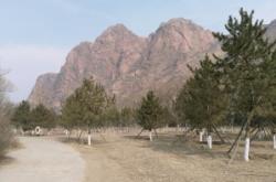 赤峰英虎銷售部電話地址查詢