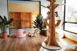 赤峰貓咪游樂場(chǎng)所電話號(hào)碼多少