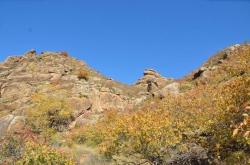 赤峰林西加油站電話地址查詢