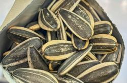 赤峰張廣明瓜子店地址電話號(hào)碼