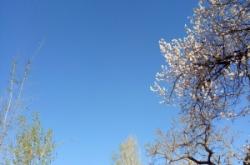 赤峰牛營子農(nóng)家院電話號碼