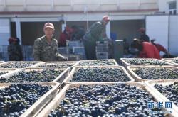 赤峰收葡萄酒電話號碼多少