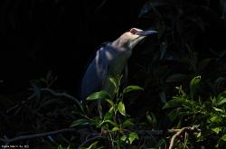 赤峰拍鳥器材廠家電話號碼