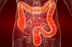 赤峰市脊椎醫(yī)院電話號(hào)碼是多少