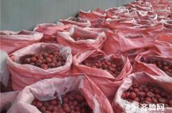 赤峰山楂種植基地電話號碼查詢