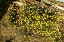 赤峰寧城鄉(xiāng)下大院電話號碼是多少