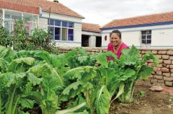 赤峰百姓餐廳電話號(hào)碼多少