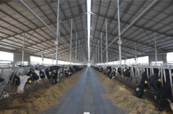 赤峰市勇敢牧場(chǎng)電話號(hào)碼查詢(xún)