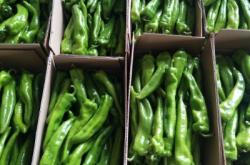 赤峰蔬菜批發(fā)店電話號碼多少