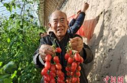 赤峰賣(mài)黑豆油的電話號(hào)碼是多少