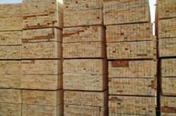 赤峰白松木方采購商電話號碼