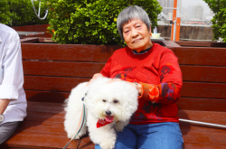 赤峰歡樂萌寵園電話多少號(hào)