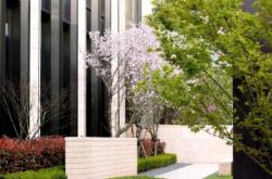 赤峰萬(wàn)悅城米村社區(qū)電話號(hào)碼