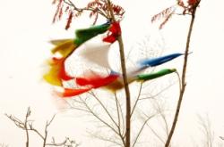 赤峰到道谷南山拼車(chē)電話號(hào)碼