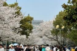 同濟(jì)大學(xué)醫(yī)院 赤峰路