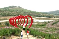 赤峰花海露營基地電話多少號