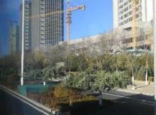 赤峰大板檢車電話地址是多少號