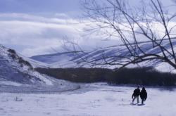 赤峰蒙遠磚廠簡介電話號碼查詢