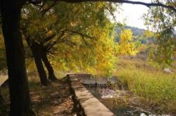 赤峰情書店鋪電話號碼多少號