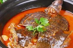 赤峰市甲魚館地址電話查詢號碼