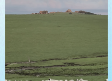 赤峰四中附近大飯店電話號碼