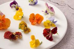 赤峰擺盤裝飾花品采購電話號碼