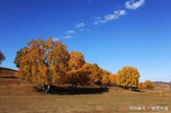 內(nèi)蒙古赤峰聯(lián)禹環(huán)保電話號碼