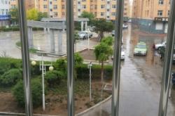 赤峰平莊賣樹苗的地方電話號(hào)碼