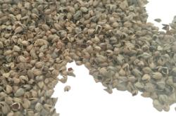 赤峰空心枕頭批發(fā)市場(chǎng)電話號(hào)碼