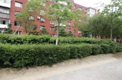 赤峰鐵南食堂訂餐電話是多少號