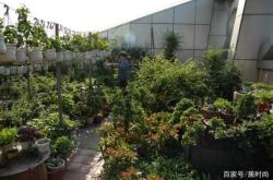 赤峰花圃市場地址電話是多少號(hào)