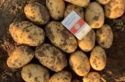 赤峰林西木材市場地址電話號碼