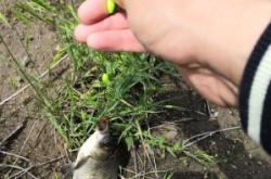 赤峰市釣黑魚(yú)的地方電話號(hào)碼