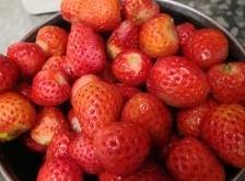 赤峰哪里有水果店啊電話號(hào)碼