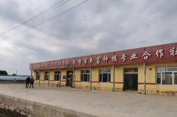 赤峰大北農(nóng)飼料直銷店電話號(hào)碼