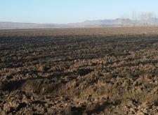 赤峰市排頭營子社區(qū)電話號碼