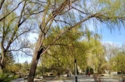 赤峰紅山區(qū)親民商場(chǎng)電話號(hào)碼