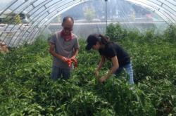 赤峰綠林果業(yè)采摘園電話號碼