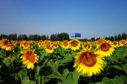 赤峰紅山區(qū)檸檬工坊電話(huà)號(hào)碼