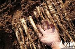 赤峰賈營子村電話多少號