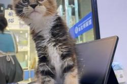 赤峰寵物店聯(lián)系方式電話號碼