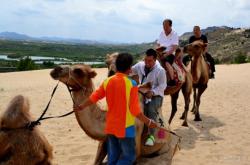 赤峰太平洋人壽保險電話號碼