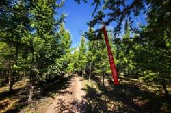 赤峰e代駕電話是多少